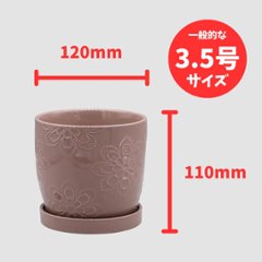 ドーセポットA Sピンク画像