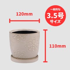 ドーセポットA Sホワイト画像