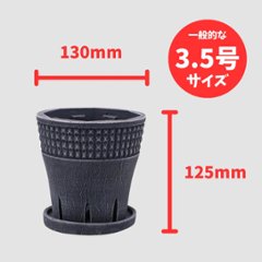 グロウポットC ブラック画像