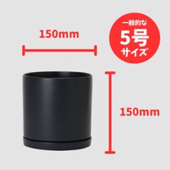 モダンマット釉 5号（XS）ブラック画像