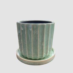 アコールストライプポット M ライトグリーンの画像