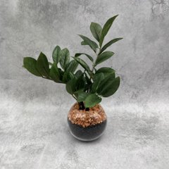 ザミオクルカスラウンド（造花）の画像