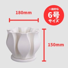 ラミン03　ホワイト画像