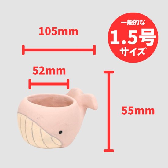 クジラポット S ピンク画像