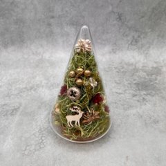 森のクリスマスガラスドームの画像