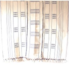 ナガ族の織物/ボディクロスの画像