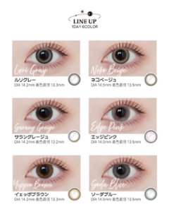  Angelique 1day(アンジェリーク ワンデー)画像