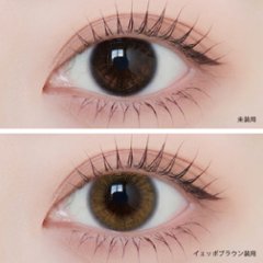  Angelique 1day(アンジェリーク ワンデー)画像