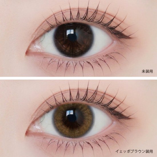  Angelique 1day(アンジェリーク ワンデー)画像