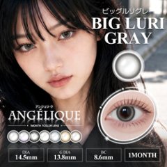 Angelique monthly(アンジェリーク マンスリー)画像