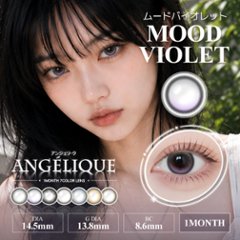 Angelique monthly(アンジェリーク マンスリー)画像