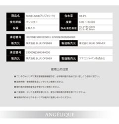 Angelique monthly(アンジェリーク マンスリー)画像