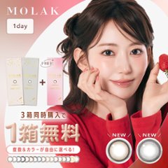 【2+1】モラク ワンデーの画像