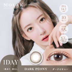  MOLAK(モラク) ワンデー画像