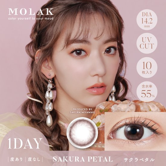  MOLAK(モラク) ワンデー画像