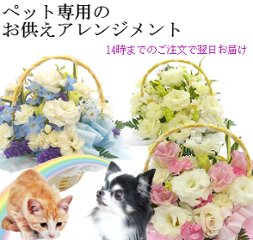 ペット専用お供えアレンジメント 供花 枕花 命日【14時までのご注文で即日発送】の画像