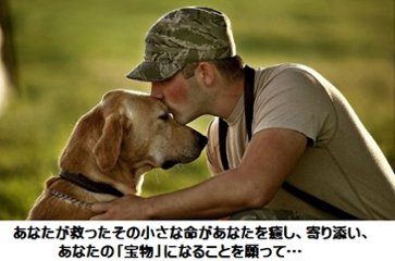 ちび天 保護動物部 部費（寄付）年間払いの画像