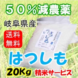 令和７年産　ハツシモ　玄米20Kg（精米サービス）の画像