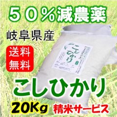 令和６年産　コシヒカリ　20Kg（精米サービス）の画像