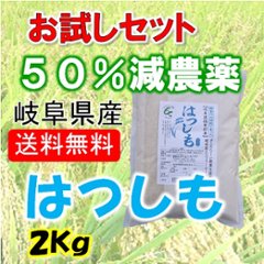 令和６年産　ハツシモ　白米２Kgの画像