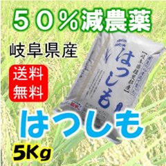 令和６年産　ハツシモ　玄米５Kgの画像