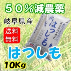 令和６年産　ハツシモ　白米10Kg（分搗き可）の画像