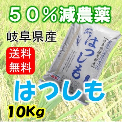 令和７年産　ハツシモ　白米10Kg（分搗き可）の画像