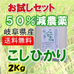 令和６年産　コシヒカリ　２Kgの画像