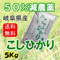 令和６年産　コシヒカリ　玄米５Kgの画像