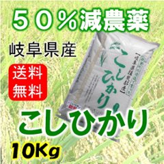 令和６年産　コシヒカリ　10Kg（分搗き可）の画像