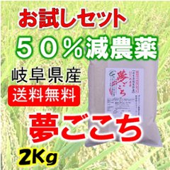 令和６年産　夢ごこち　白米２Kgの画像