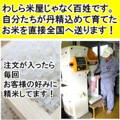 食べ比べセットC（ミル、ハツ、コシ）画像