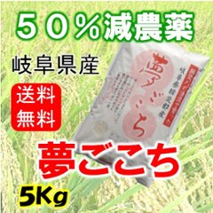 令和５年産　夢ごこち　白米５Kg（分搗き可）画像