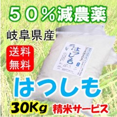 令和６年産　ハツシモ　玄米30Kg（精米サービス）の画像