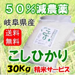 令和６年産　コシヒカリ　30Kg（精米サービス）の画像