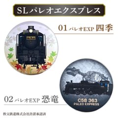 秩父鉄道 φ60ｍｍスタンドバッジメッキ 画像