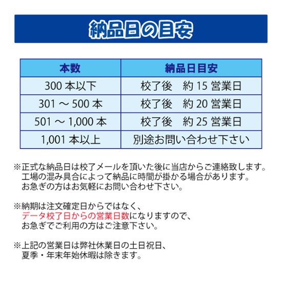 三菱クリフター 短冊型オリジナル名入れクリップ 100本セット画像