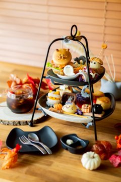 【10月】ハロウィンのにゃんこアフタヌーンティー(喫茶時々、雨さんコラボ)空席申込画像