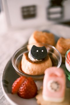 【3月】レトロ喫茶にゃんこアフタヌーンティー【空席申込】画像