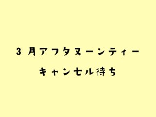 【3月】レトロ喫茶にゃんこアフタヌーンティー【キャンセル待ち】の画像