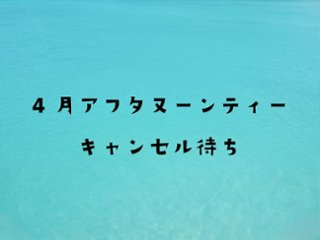 【キャンセル待ち】【4月】水族館のにゃんこアフタヌーンティーの画像