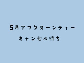 【キャンセル待ち】【5月】水族館のにゃんこアフタヌーンティーの画像