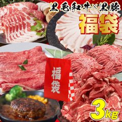 【送料込み】鹿児島黒毛和牛×かごしま黒豚 福袋 3kg（Lサイズ）の画像