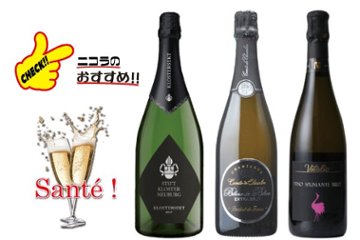 ニコラワイン通信Vol.6　シャンパーニュ&スパークリング3本セットの画像