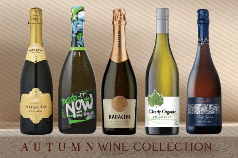 ニコラワイン通信Vol.8　世界のスパークリングワイン５本セット画像