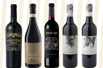 ニコラワイン通信2026／第１号　果実味たっぷりアパッシメント入り濃厚 赤ワイン5本セットの画像