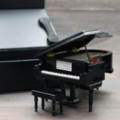 ミニチュア楽器 グランドピアノ ブラック 全長18cm 専用ケース付き の画像
