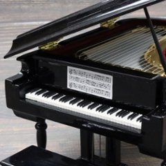 ミニチュア楽器 グランドピアノ ブラック 全長18cm 専用ケース付き 画像