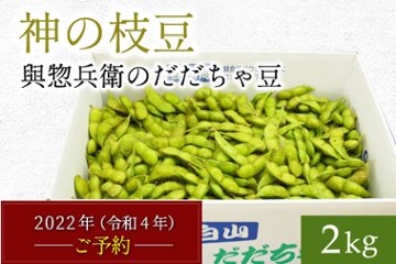 【早期増量】だだちゃ豆2.4㎏の画像