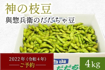 【早期増量】だだちゃ豆4.8㎏の画像